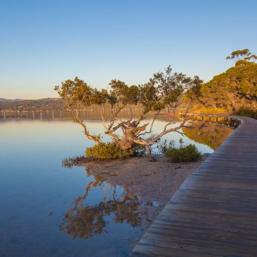 merimbula-nsw-australia-8