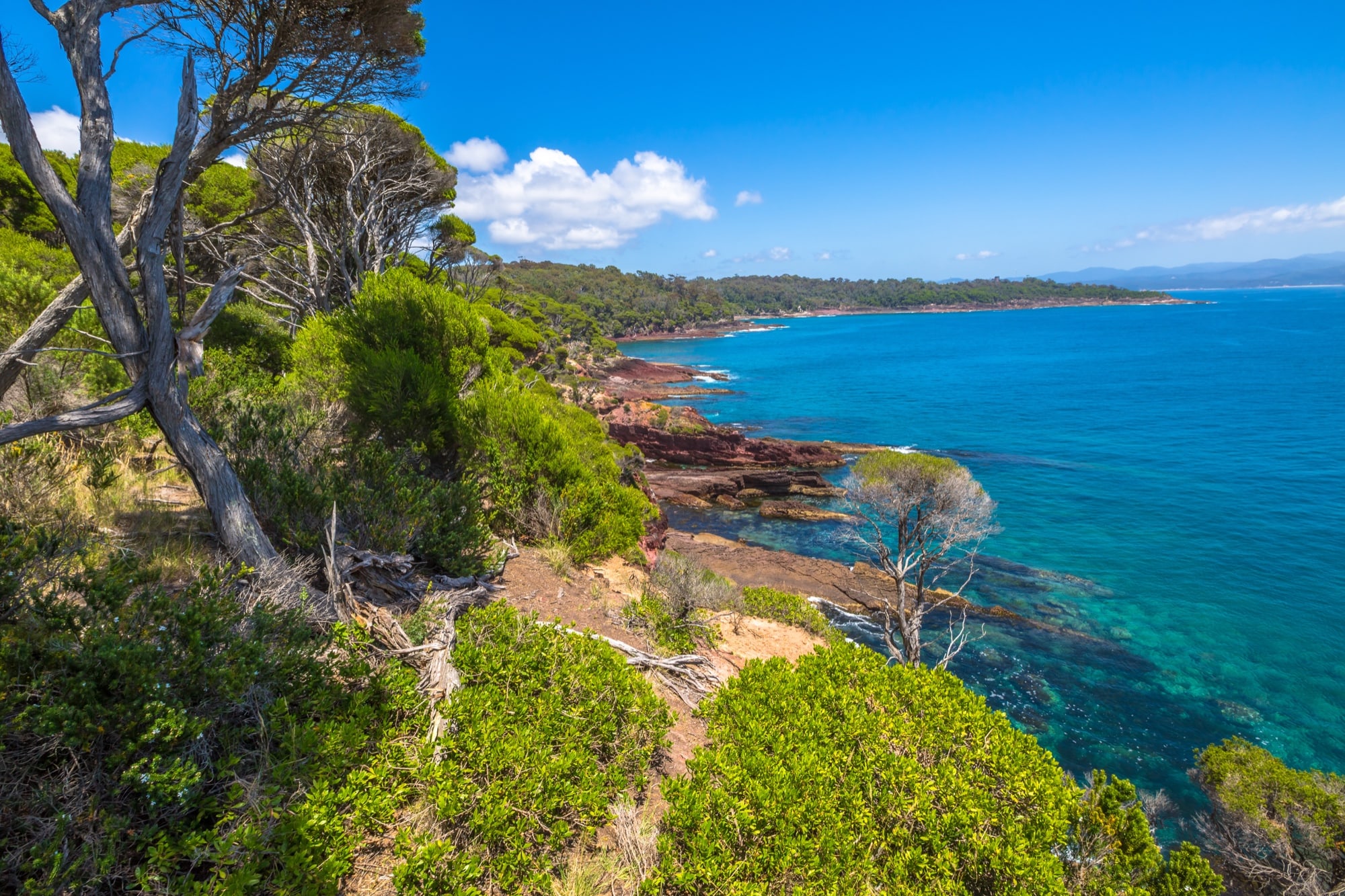 Merimbula NSW. Национальный парк Бена Бойда Грин кап. Sapphire Coast.